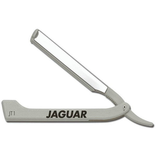Jaguar Mes JT1 Zilver